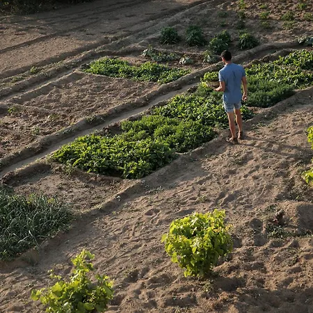 Naxian Life ヴィラ *