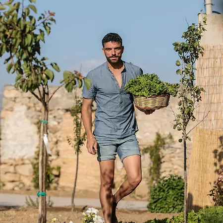 ヴィラ Naxian Life Agia Anna (Naxos)