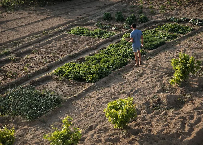 Naxian Life 别墅 *