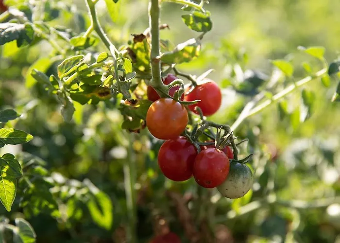 Naxian Life 빌라 Agia Anna (Naxos)